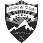 notre consultant SEO à Dijon booste la visibilité du domaine de champé