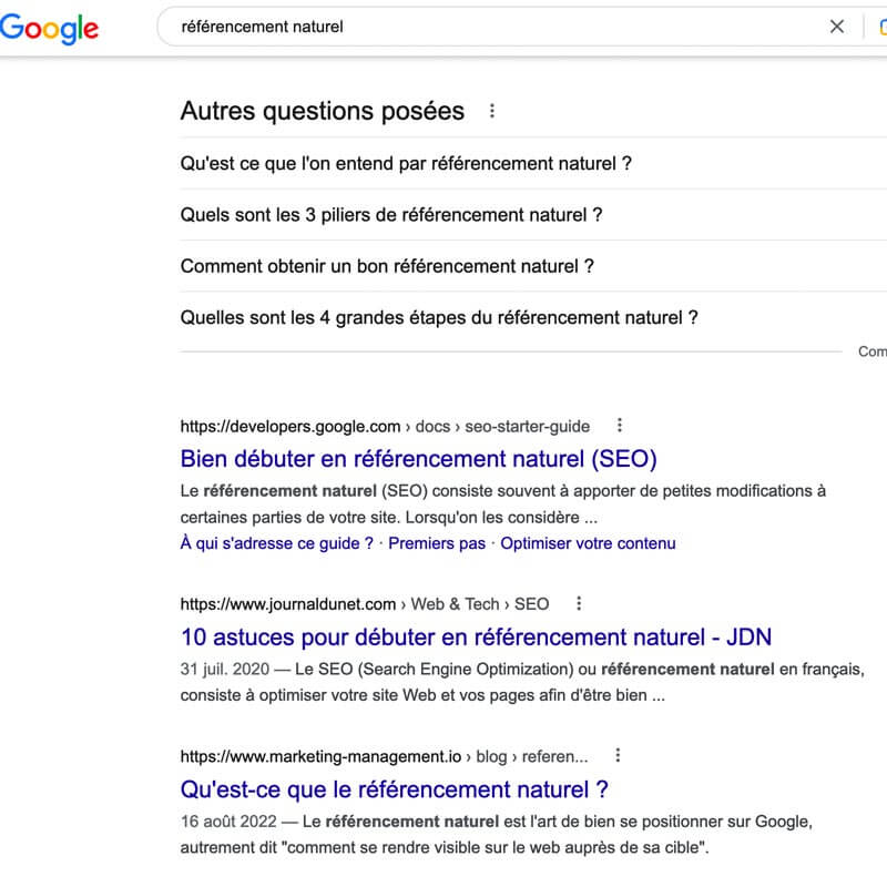 résultat d'une SERP en référencement naturel lors d'une recherche