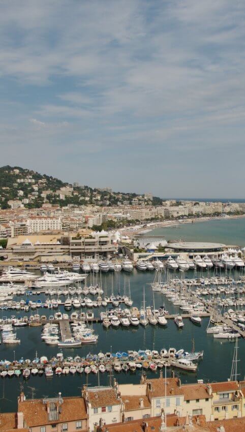 Cannes seo